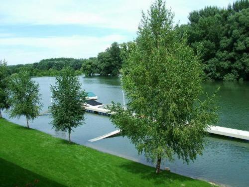 Amstel Hattyú Panzió -Érintésmentes bejelentkezés Győr Exterior foto